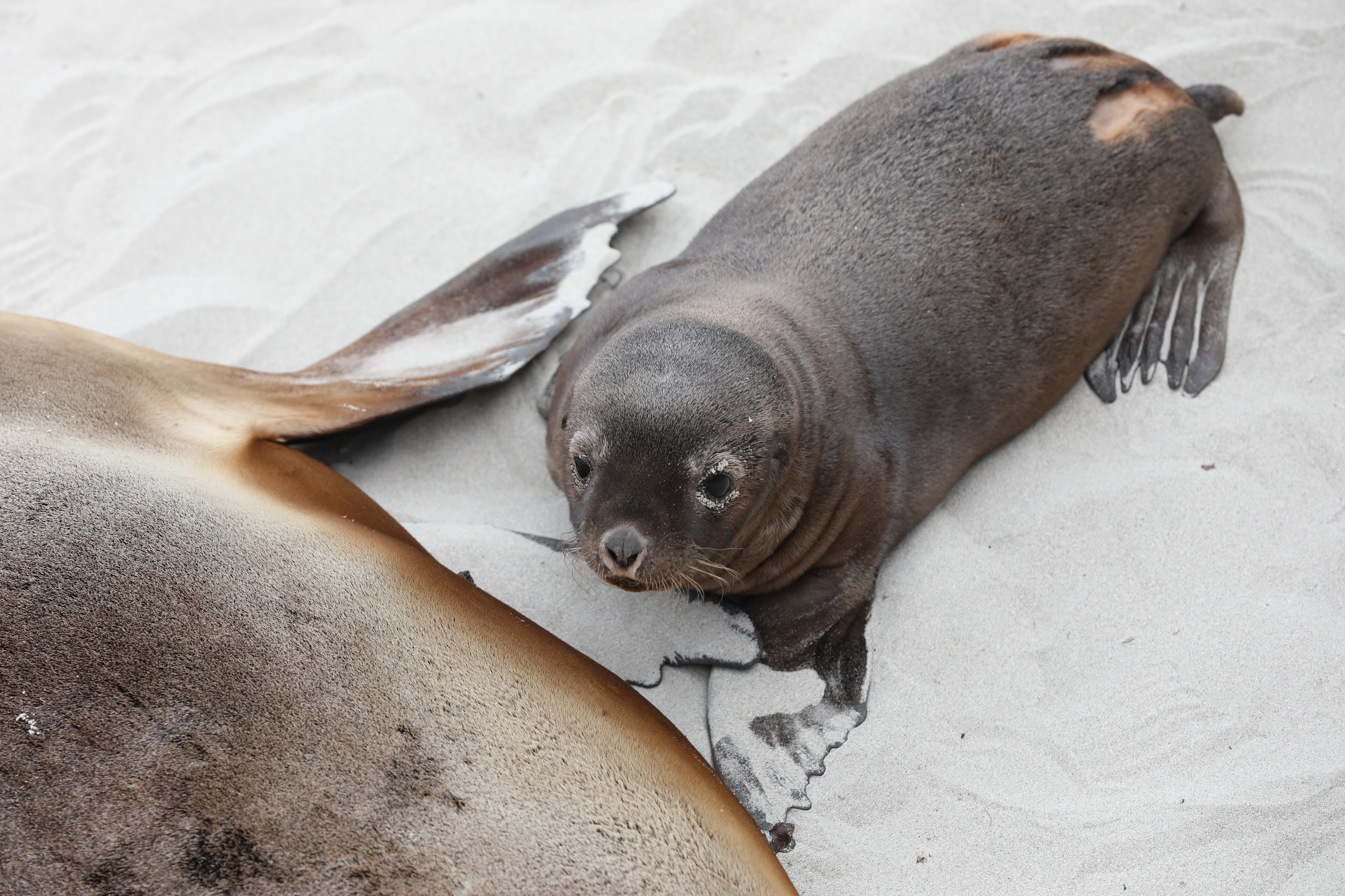 2019 09 29 12 27 23 Canon EOS 5D Mark IV 0017